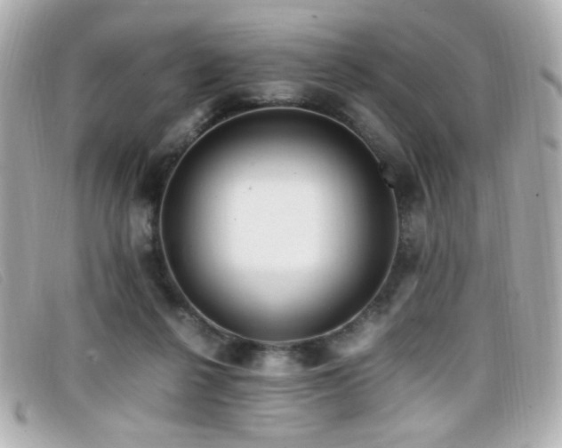 X0000099430264200805091256