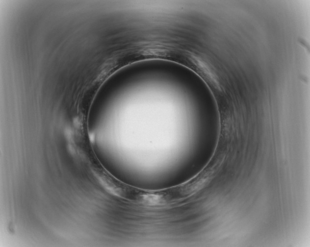 X0000099430265200805091256