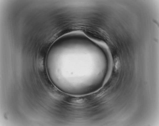 X0000099430267200805091256