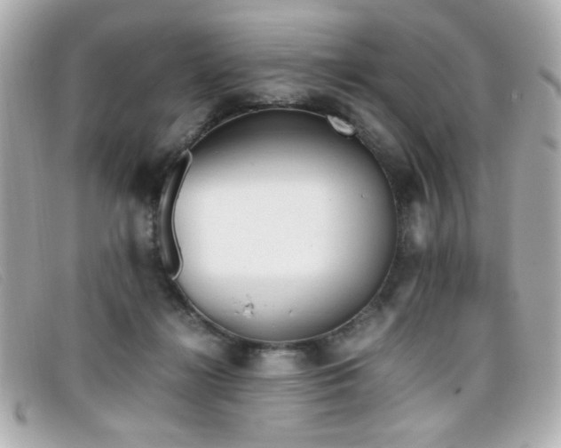 X0000099430268200805091256