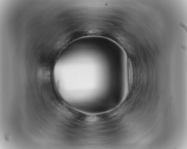 X0000099430269200805091256