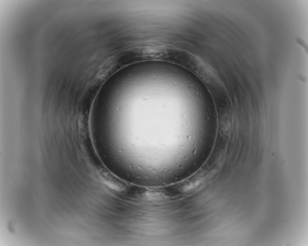 X0000099430270200805091256