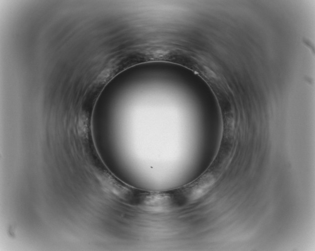 X0000099430274200805091257