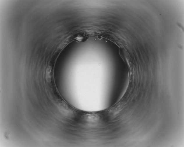 X0000099430275200805091257