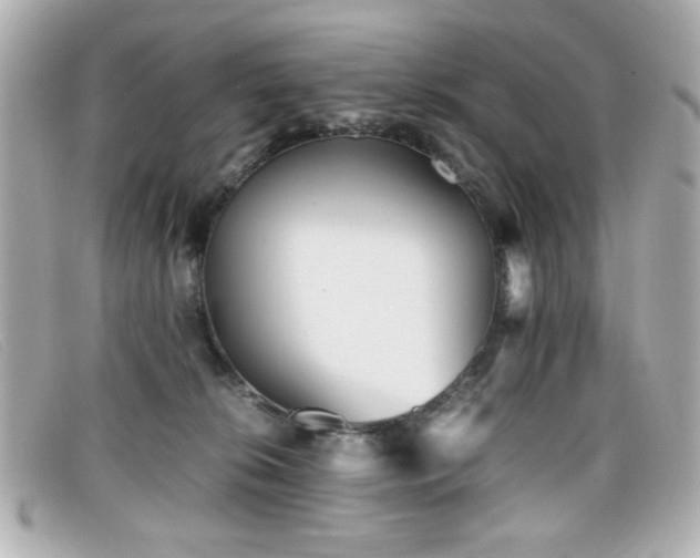 X0000099430276200805091257