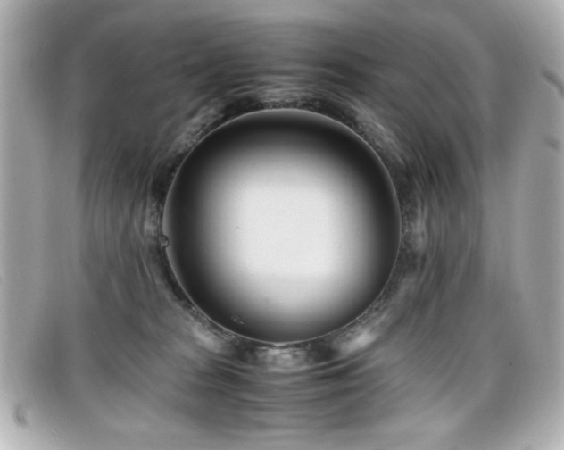 X0000099430277200805091257