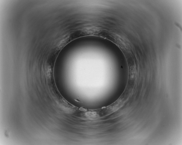 X0000099430279200805091257