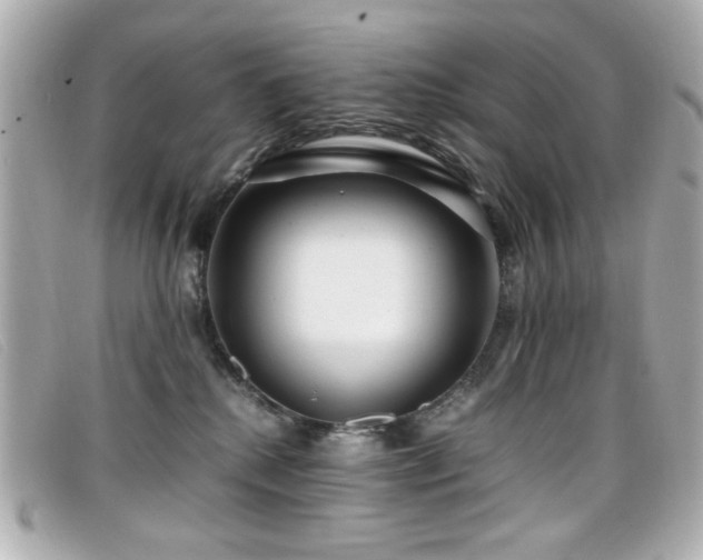 X0000099430280200805091257