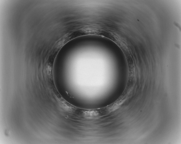 X0000099430281200805091257