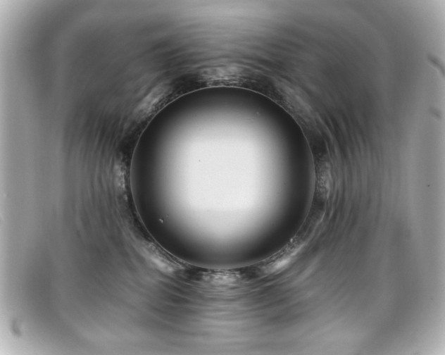 X0000099430282200805091257