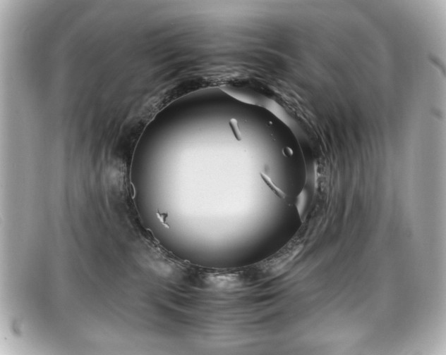 X0000099430283200805091257