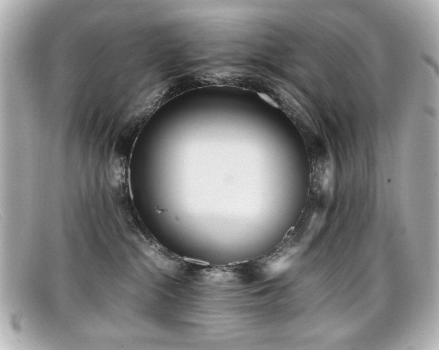 X0000099430284200805091257