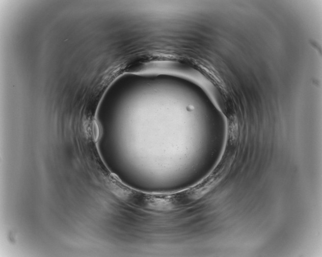 X0000099430285200805091257