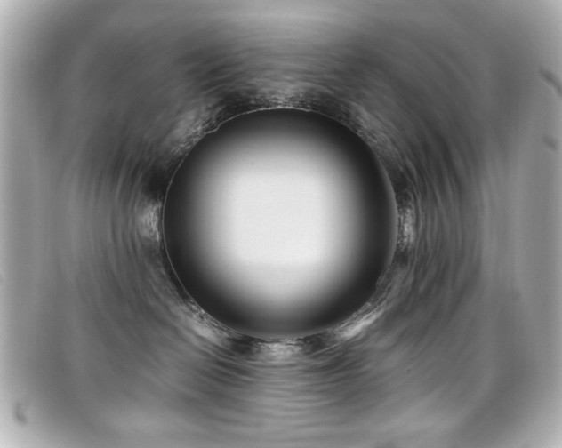 X0000099430286200805091257