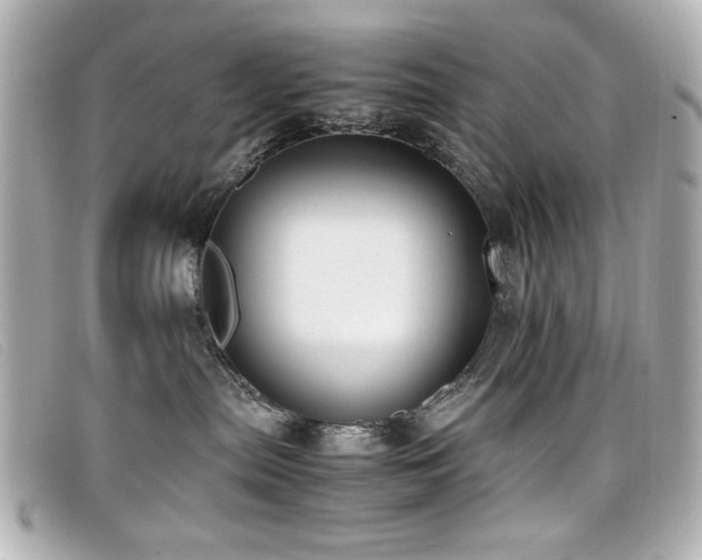 X0000099430287200805091257