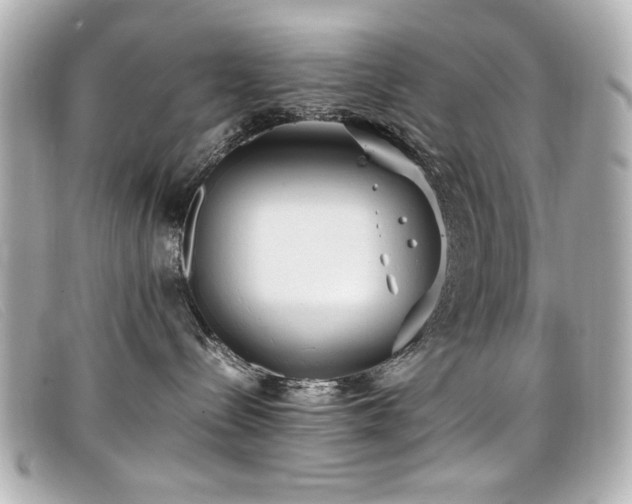 X0000099430288200805091257