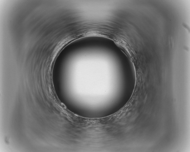X0000099430289200805091256