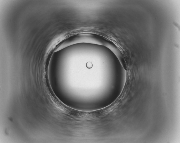 X0000099430293200805091256