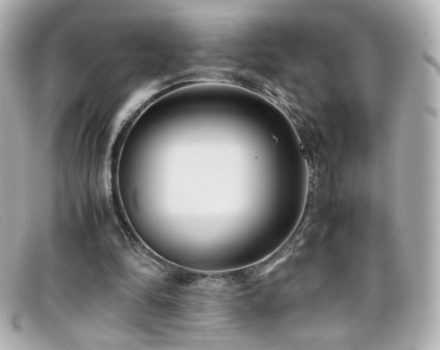 X0000099430294200805091256