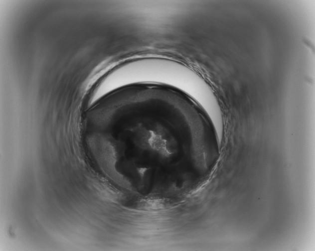 X0000099430295200805091256