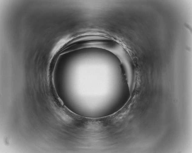 X0000099430296200805091256