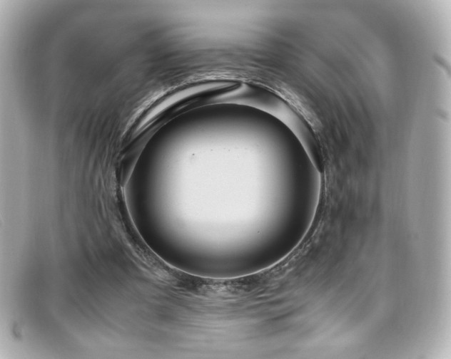 X0000099430297200805091256