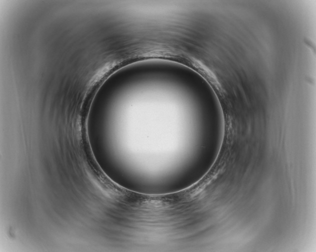 X0000099430298200805091256