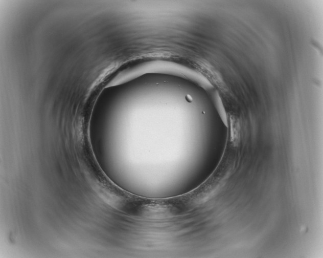 X0000099430300200805091256