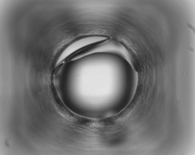 X0000099430303200805091256