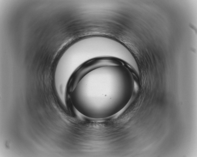 X0000099430304200805091256