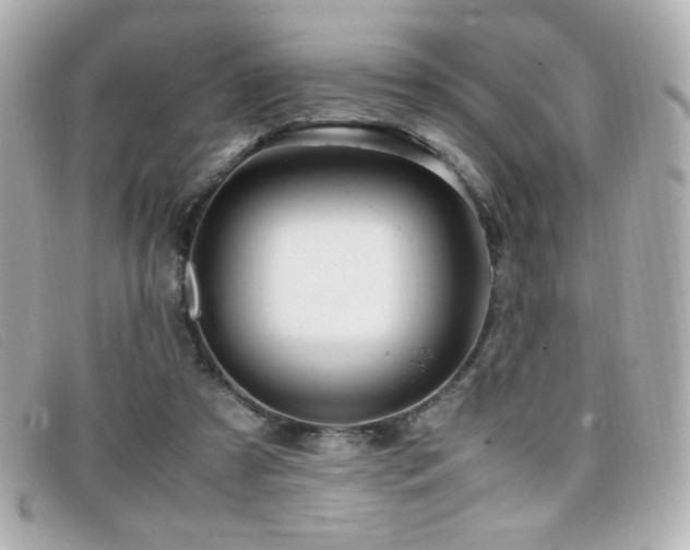 X0000099430305200805091256