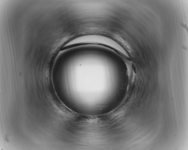 X0000099430306200805091256