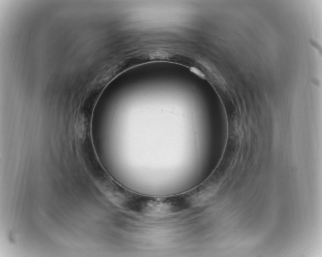 X0000099430311200805091256