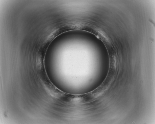 X0000099430312200805091256