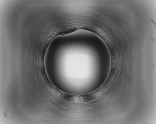 X0000099430317200805091256