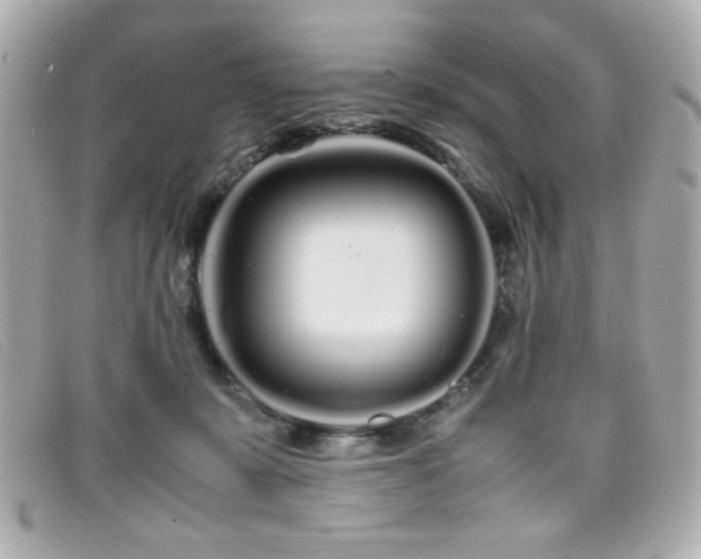 X0000099430319200805091256