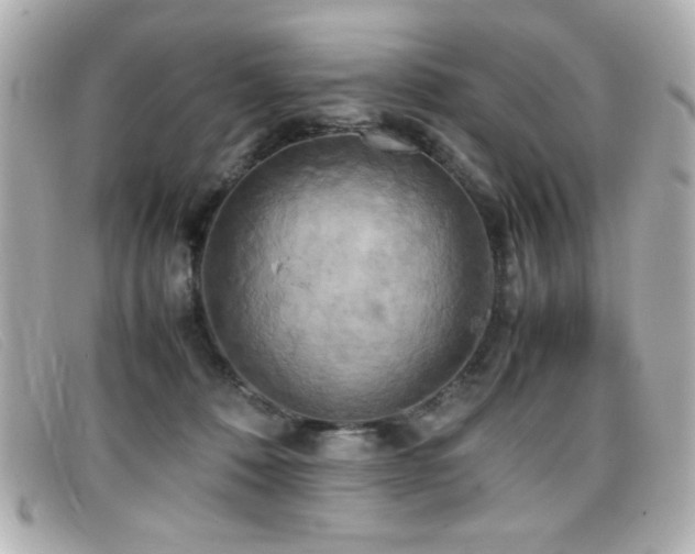 X0000099430320200805091256