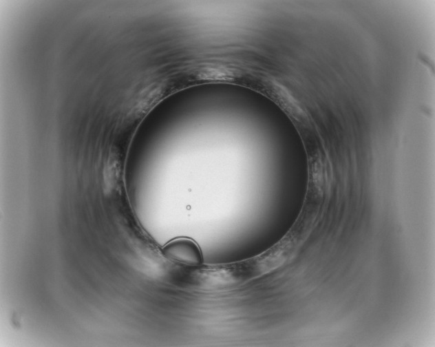X0000099430322200805091256