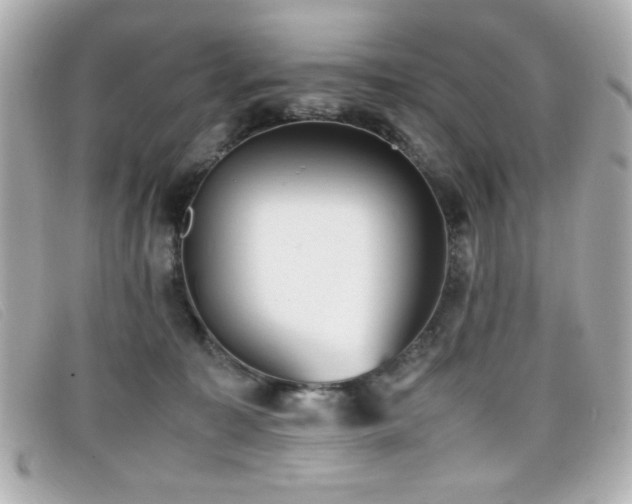 X0000099430323200805091256