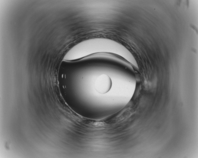 X0000099430324200805091256