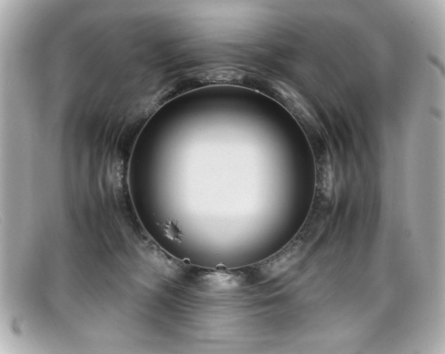 X0000099430326200805091256
