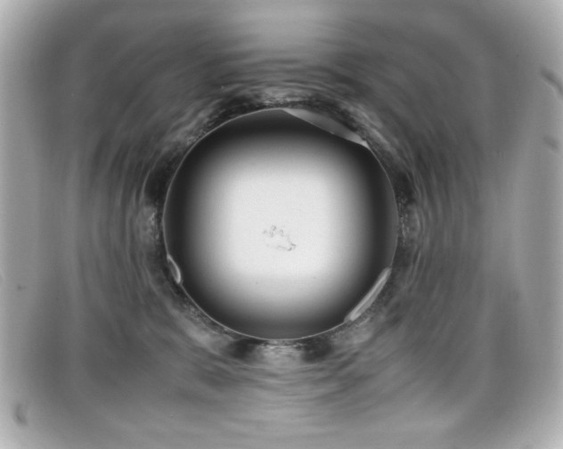 X0000099430327200805091255