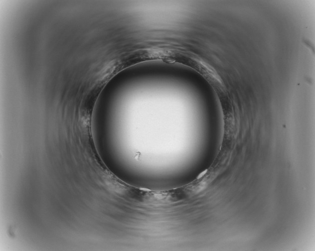 X0000099430329200805091255