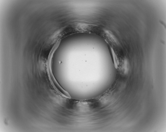 X0000099430332200805091255