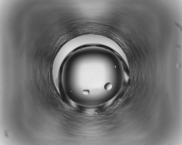 X0000099430333200805091255