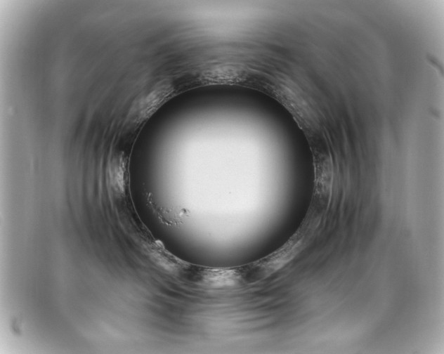 X0000099430334200805091255