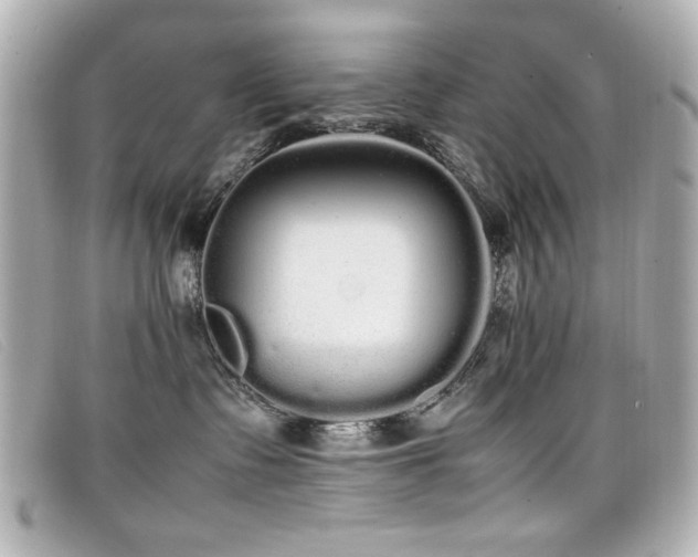 X0000099430335200805091255