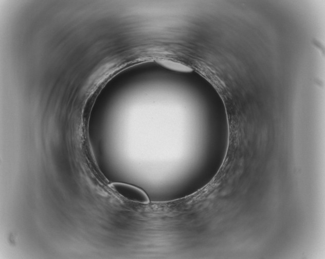 X0000099430338200805091255