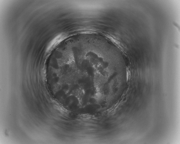 X0000099430339200805091255