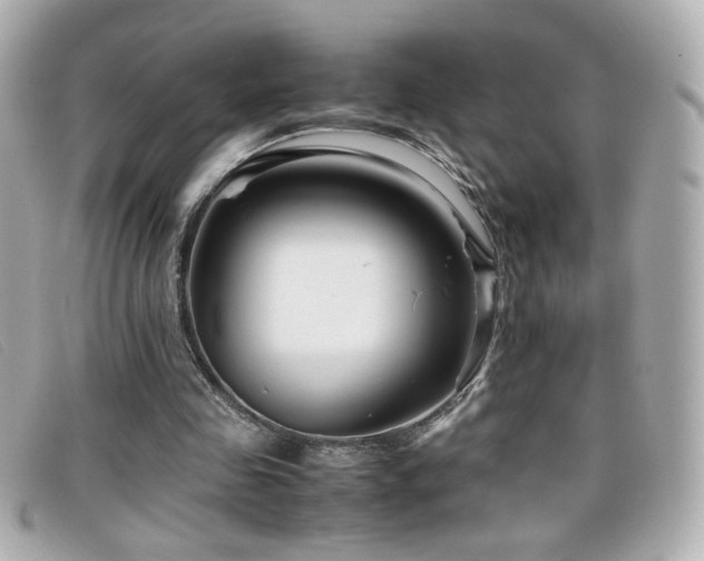 X0000099430341200805091255